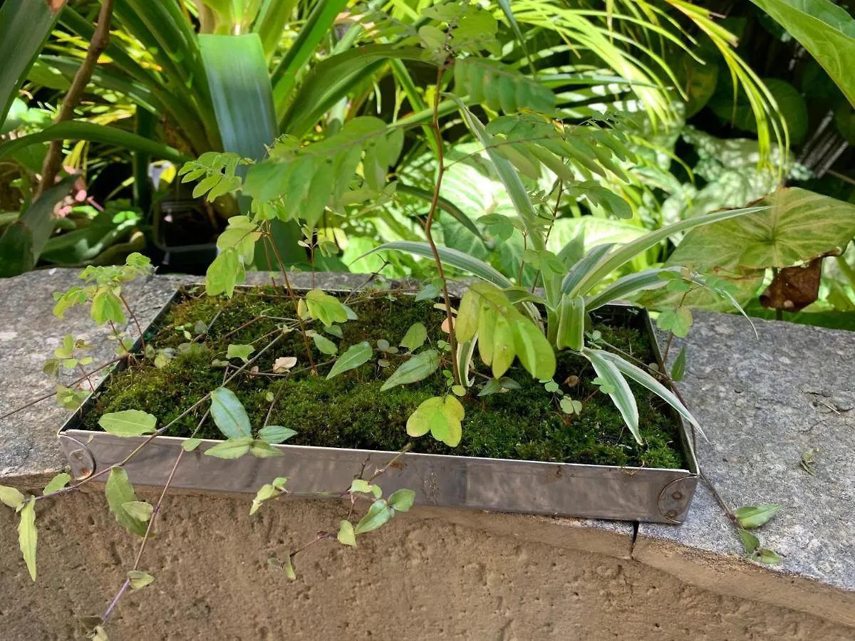 Villa Paraiso Sao Paulo Inn